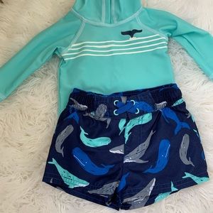 Beach clothes ONLY THE SHORTS